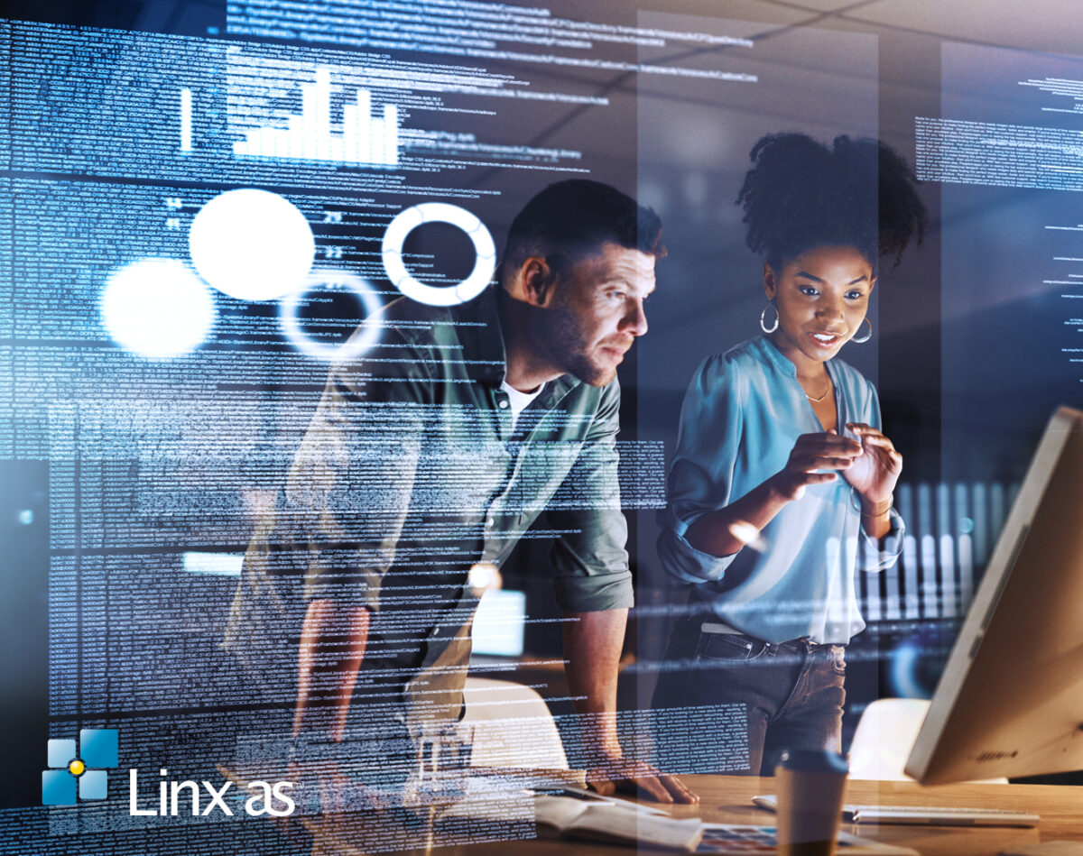 Linx-AS developers reviewing code